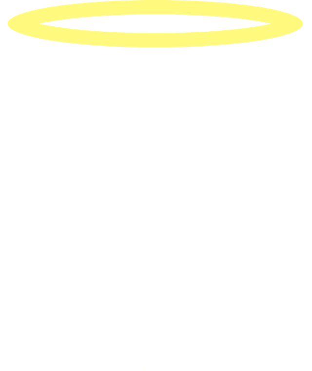 Mali Safi Logo